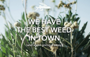 pataonia image with the words we have the best weed in town (and we're giving it away)